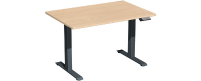 Geramöbel Schreibtisch Elevate Basic 1.200 x 730-1.230 x 800 mm (B x H x T) silber